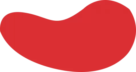 UED体育（国际）网页版登陆